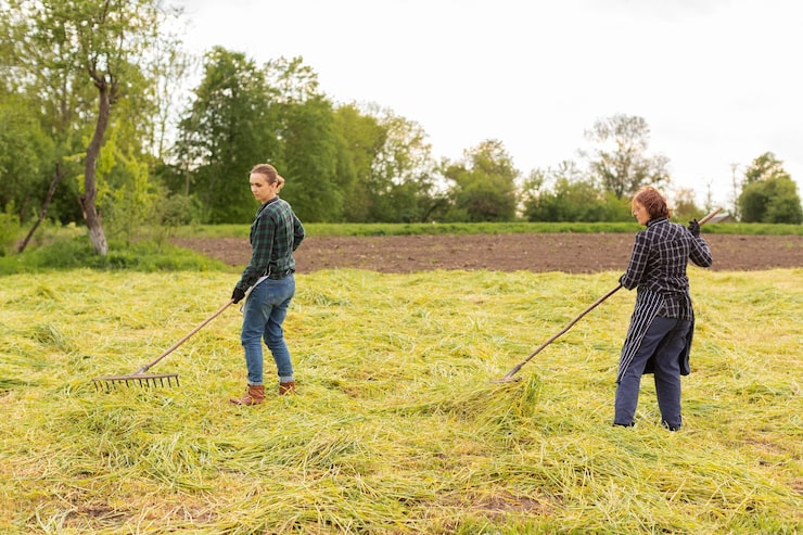 Motoculteur de jardin professionnel